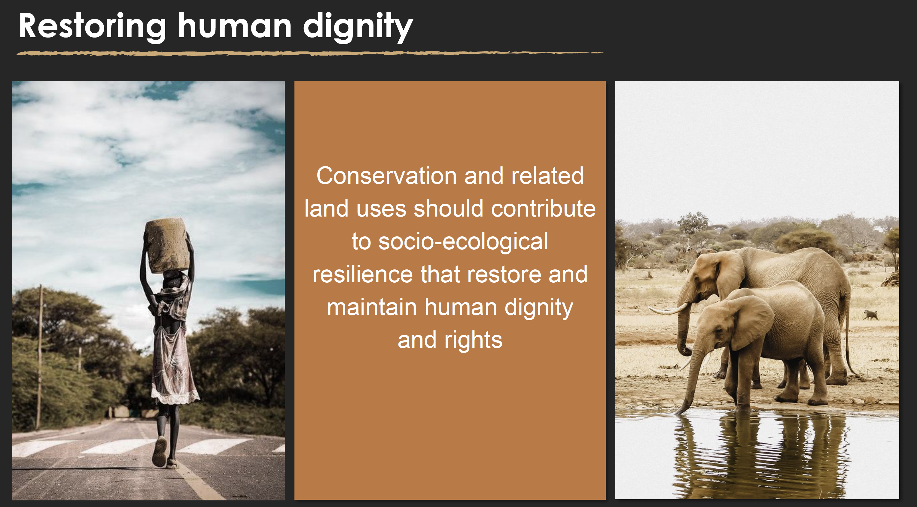 Restoring human dignity